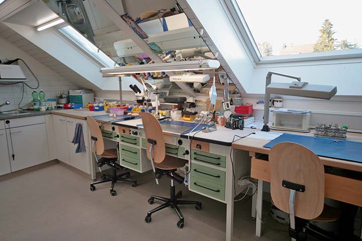 Zahnarztpraxis Lindenhof AG